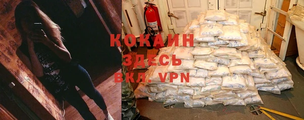 крисы Белокуриха