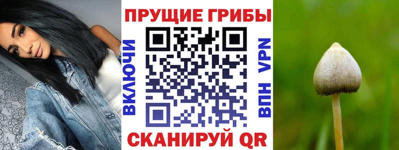 Галлюциногенные грибы MAGIC MUSHROOMS  где продают наркотики  МЕГА маркетплейс  это как зайти  Ильский 