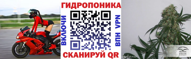 Бошки марихуана план Ильский